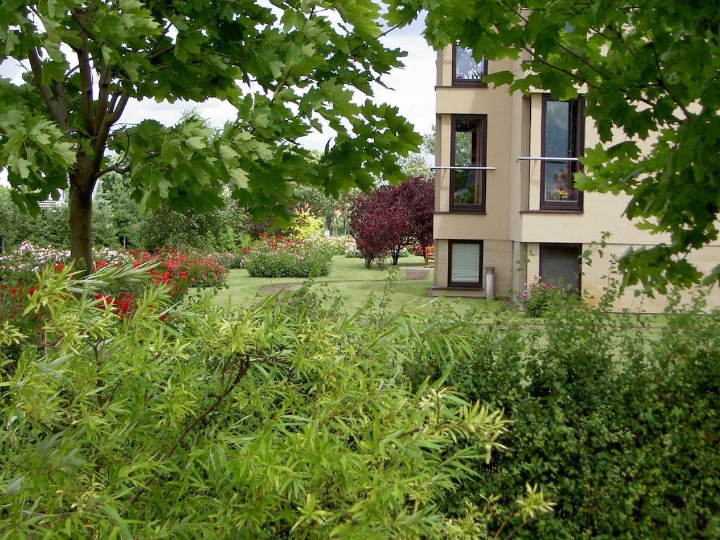 Hotel Grodzki بوزنان المظهر الخارجي الصورة